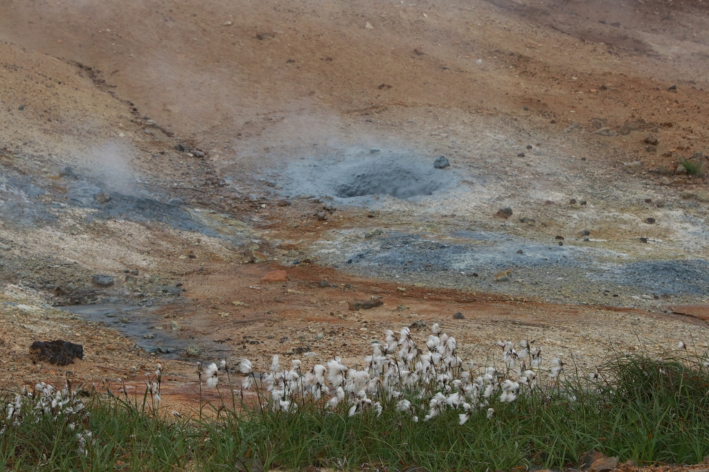 Geothermalgebiet Seltún