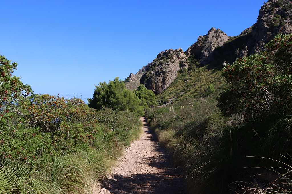 Wanderung zur Platja des Caló und zur Cala de Oliver
