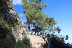 Rundwanderung von der Ermita de la Victoria auf den Talaia d'Alcúdia und zur Platja des Coll Baix