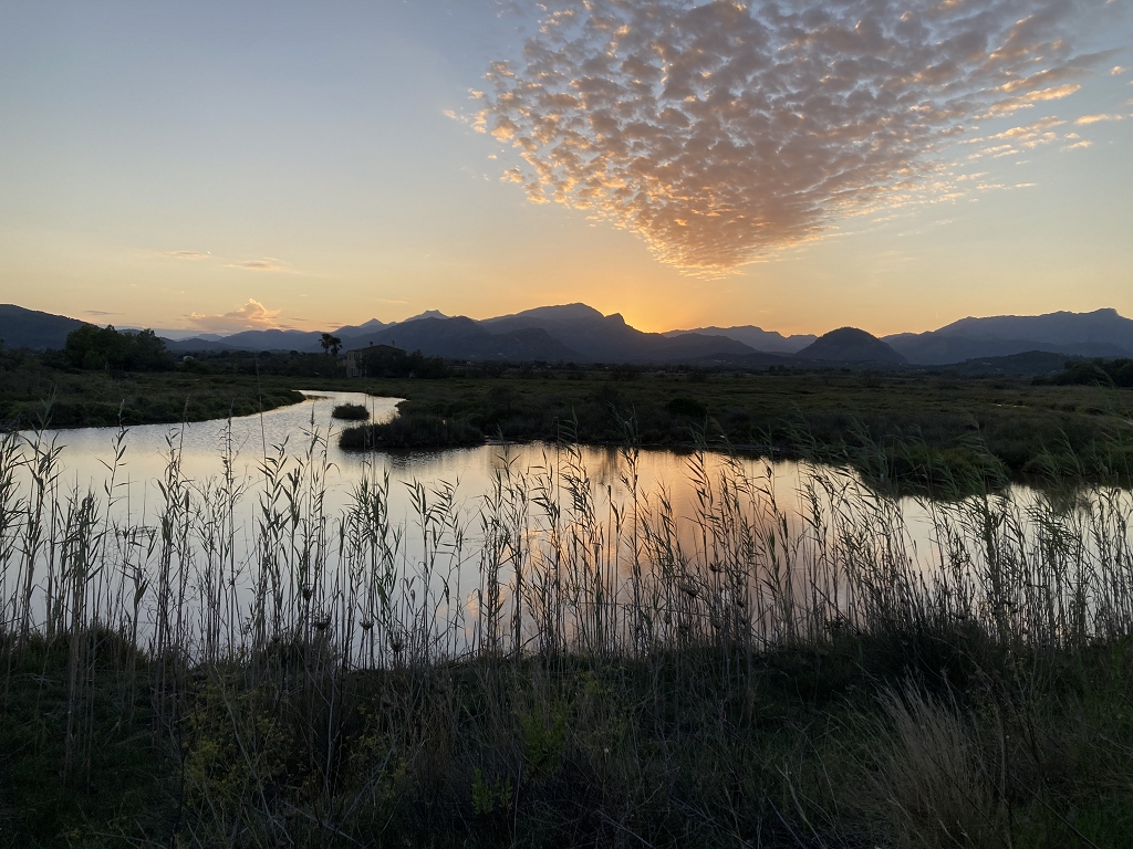 Reserva Natural de s'Albufereta