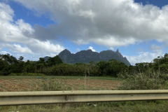 Mit dem Mietwagen auf Mauritius unterwegs