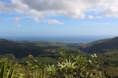 Auf dem Gipfel des Piton du Canot, Mauritius - Sicht in den Süden
