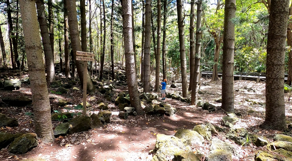 Nature Trail im Bras d’Eau National Park 