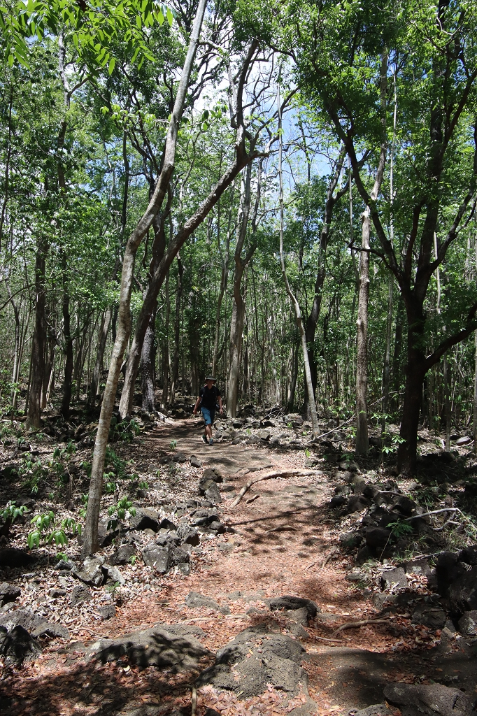 Nature Trail im Bras d’Eau National Park 