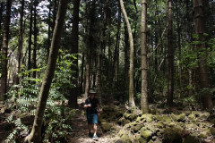 Nature Trail im Bras d’Eau National Park