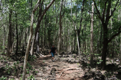 Nature Trail im Bras d’Eau National Park