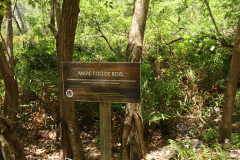 Mare Coq de Bois im Bras d’Eau National Park