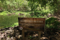 Mare Chevrettes im Bras d’Eau National Park