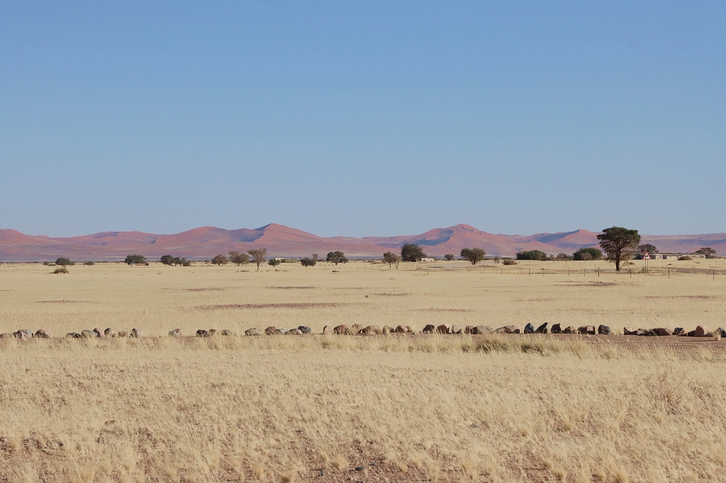 Dünenlandschaft in der Namib