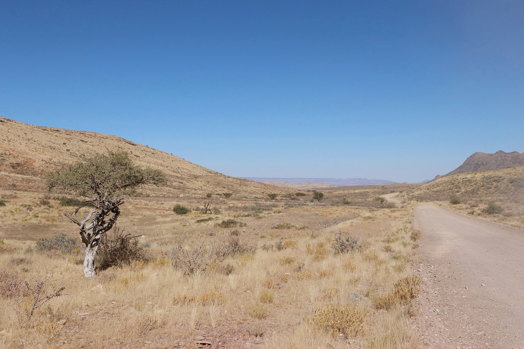Fahrt durch den Namib-Naukluft-Park