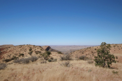 Wanderung auf dem Olive Trail im Namib-Naukluft-Park - Das Hochplateau ist erreicht