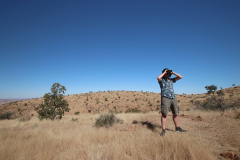 Wanderung auf dem Olive Trail im Namib-Naukluft-Park - Ausschau nach Bergzebras halten