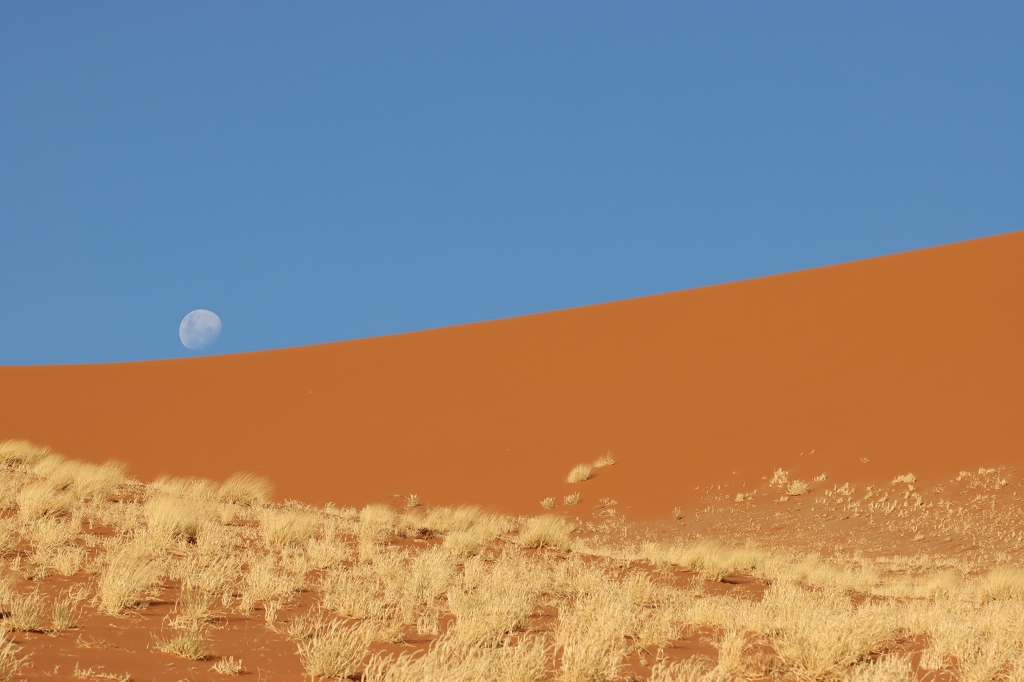 An der Düne 45 in der Namib