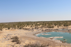 Wasserstelle Rietfontein im Halali Camp im Etosha-Nationalpark