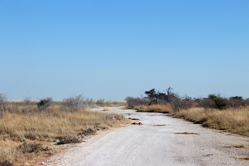 Fahrt zum Wasserloch Okerfontein