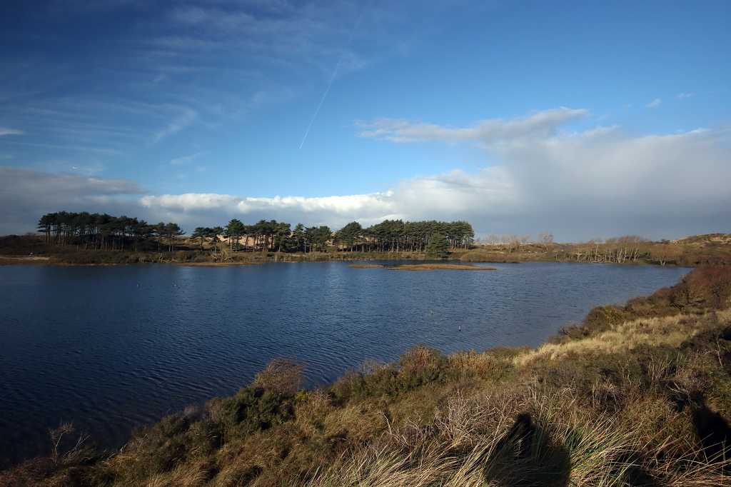 Vogelmeer im Nationalpark Zuid Kennemerland