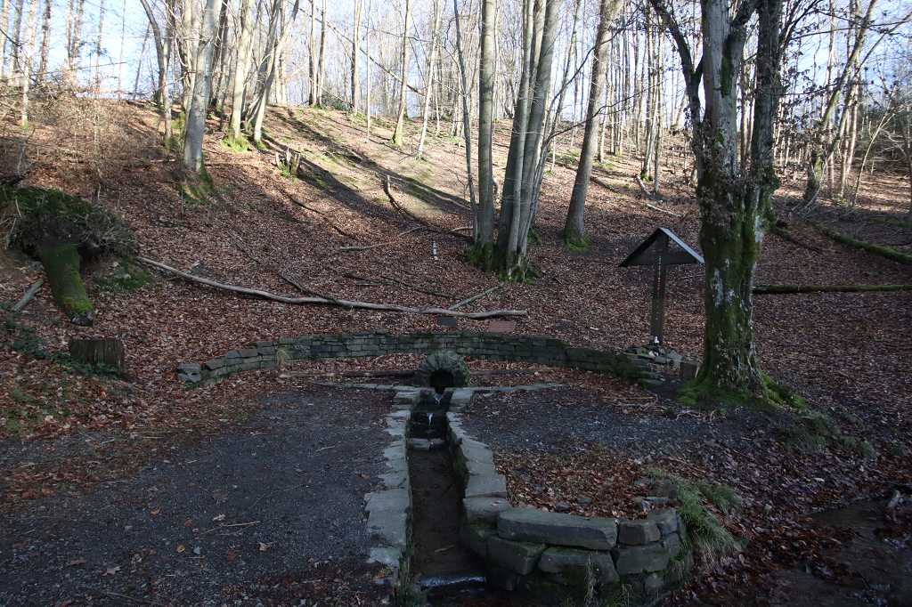 Heilbrunnenquelle mitten im Wald