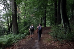 Neanderlandsteig Etappe 7: Von Essen-Kettwig nach Mülheim-Selbeck