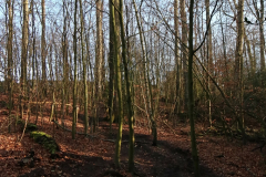 neanderland STEIG Etappe 10: Von Ratingen-Homberg nach Erkrath