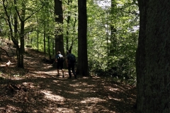 neanderlandSTEIG Etappe 5: Von Velbert-Nierenhof nach Velbert-Mitte