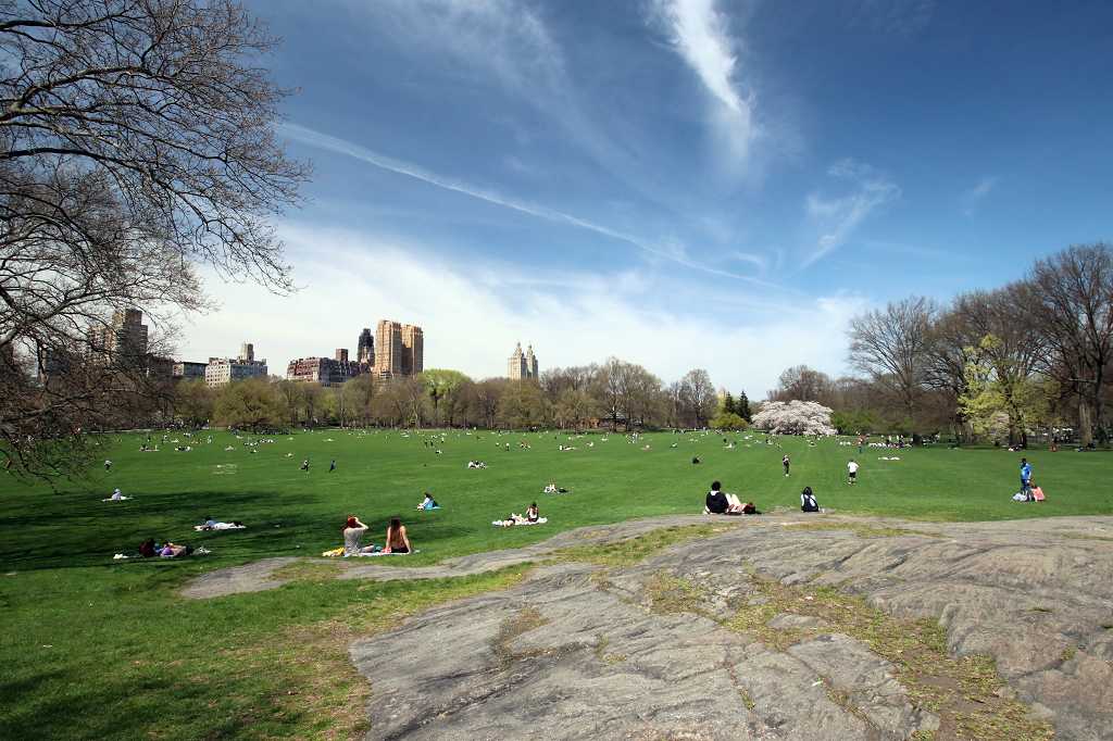 Rasenfläche Sheep Meadow im Central Park