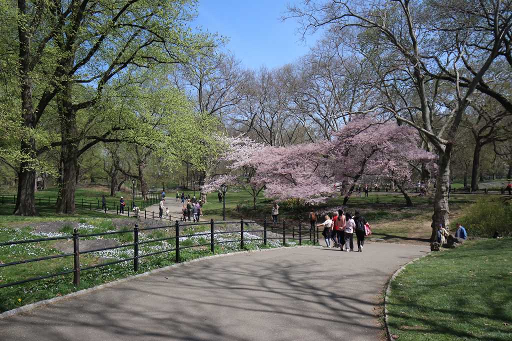 Central Park im Frühling