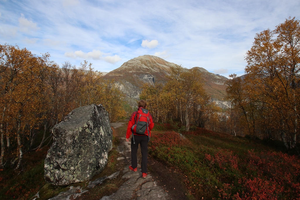 Vom Bergbauernhof Skageflå zum Aussichtspunkt Homlongsætra