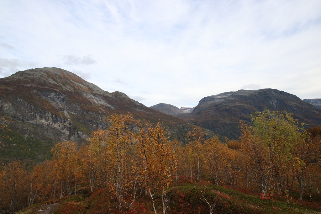 Vom Aussichtspunkt Homlongsætra zurück zum Bergbauernhof Skageflå