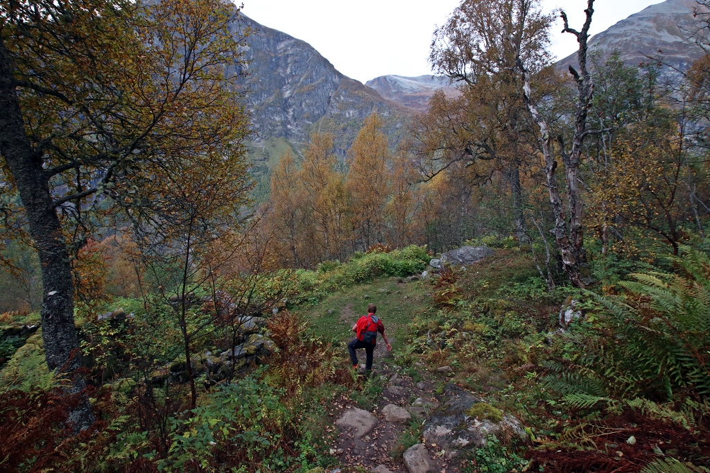 Vom Aussichtspunkt Homlongsætra zurück zum Bergbauernhof Skageflå