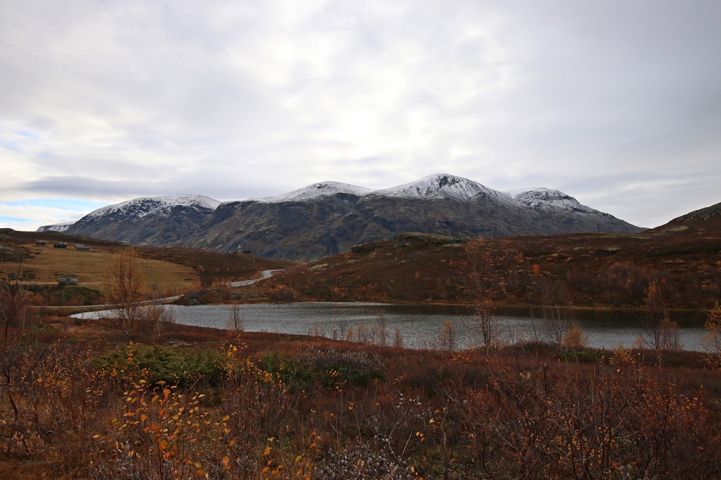 Entlang der Landschaftsroute Sognefjellet von Lom bis zum Ende des Sognefjords - See Nedre Halsatjønnen