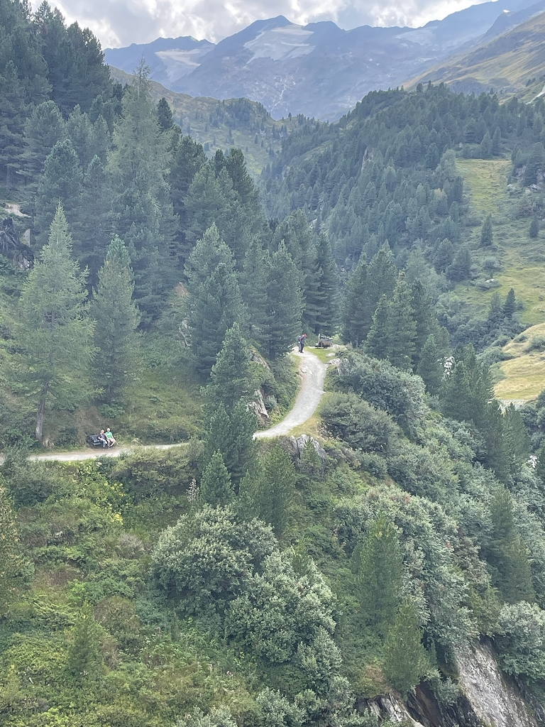Klettersteig Obergurgl (Zirmwald Klettersteig) - Blick auf den Wanderweg