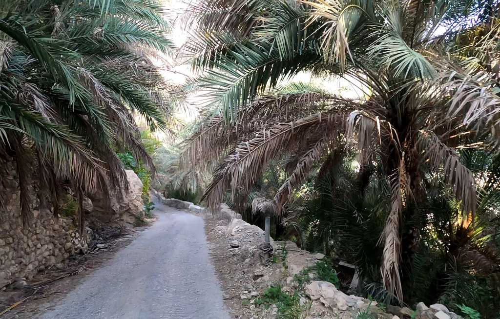 Straße zum Wadi Tiwi