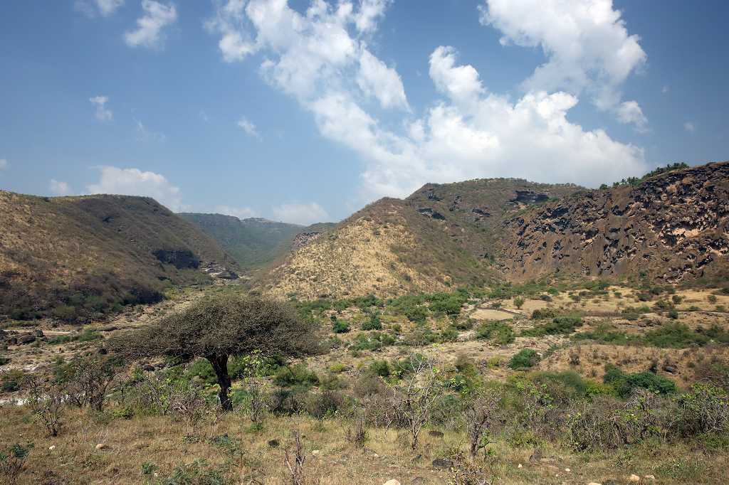 Wadi Darbat