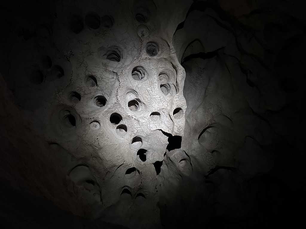 Fledermaushöhlen in der Muqal Cave