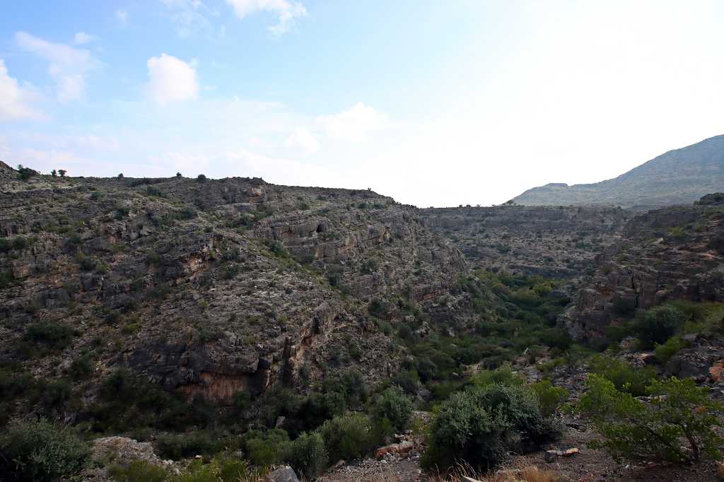 Wadi Bani Habib