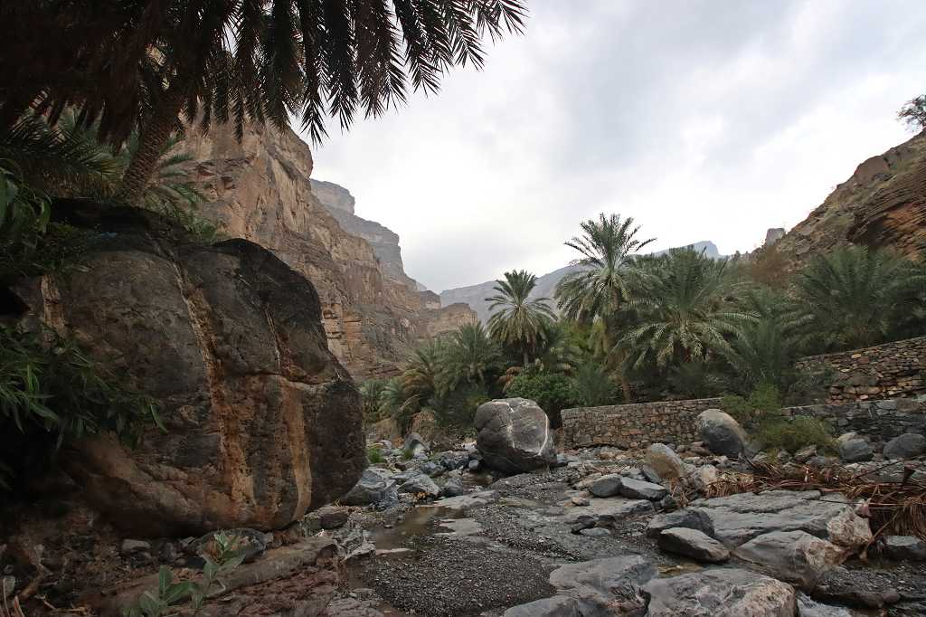 Oase im Wadi Nakhar