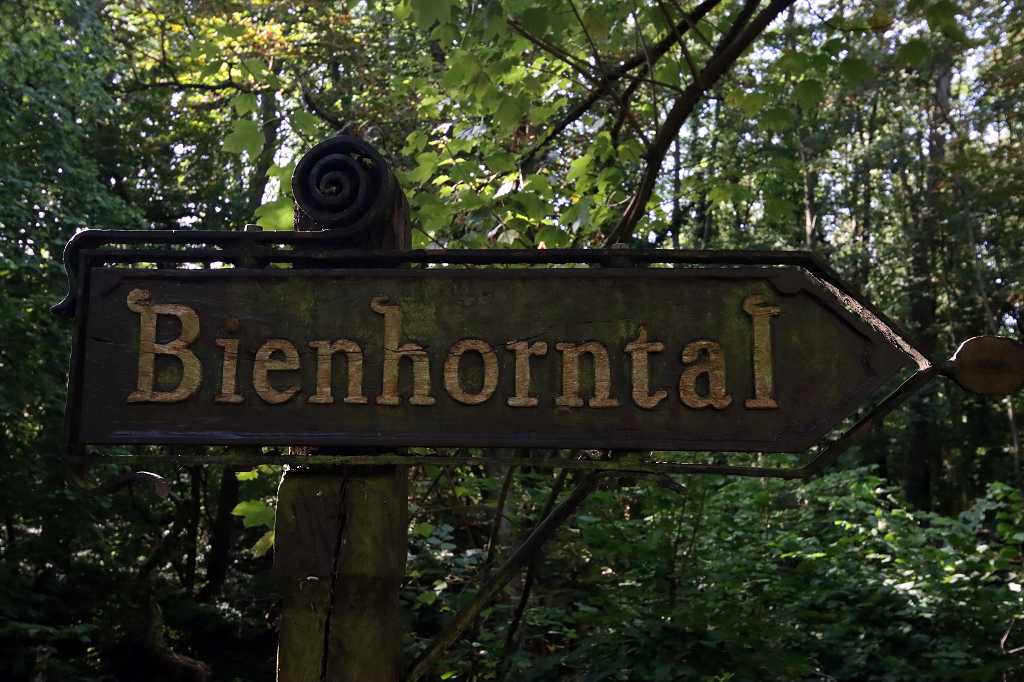 Im idyllischen Bienhorntal auf der 11. Etappe des Rheinsteigs