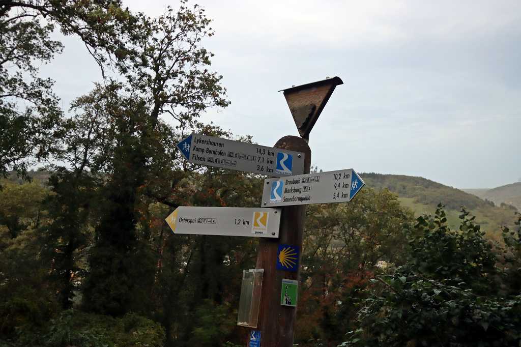 Rheinsteig Etappe 13: Von Braubach nach Kamp-Bornhofen