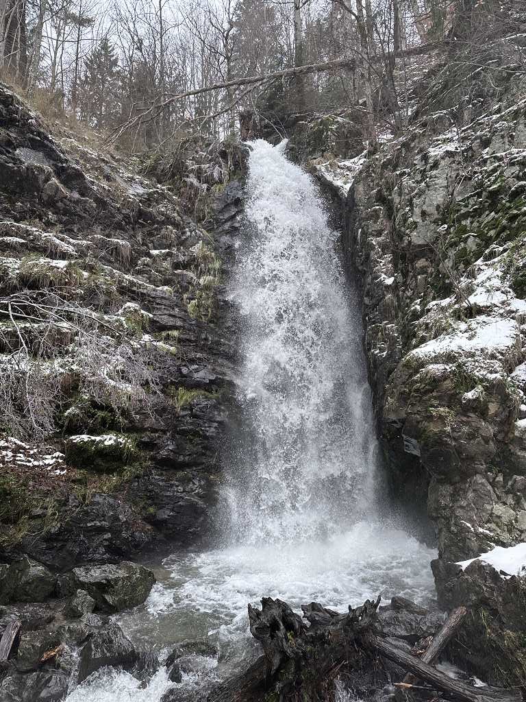 Fallstufe Todtnauer Wasserfall