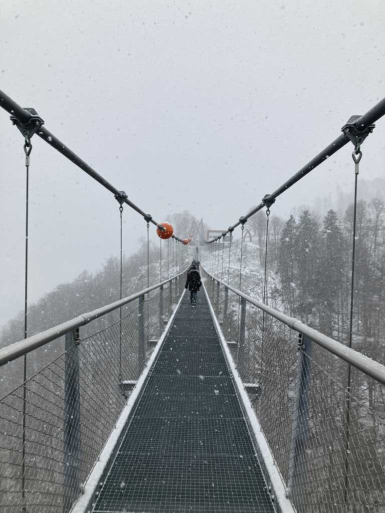 Hängebrücke Blackforestline