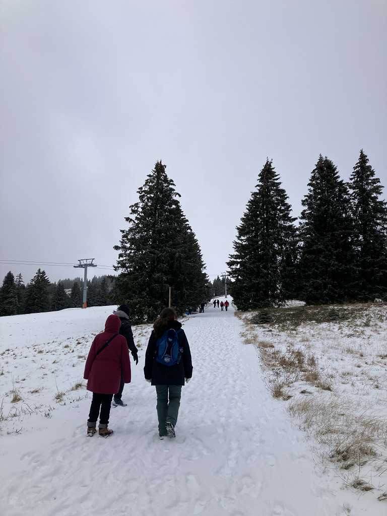 Der erste Schnee auf dem Feldberg im Schwarzwald