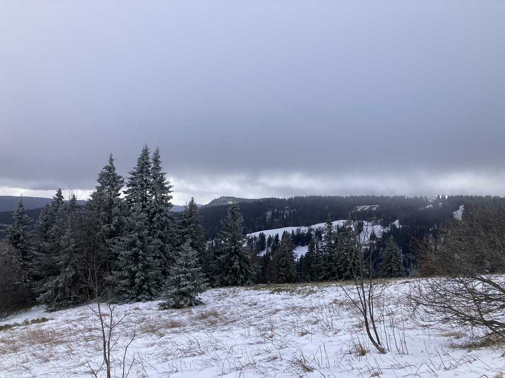 Ausblick vom Feldberg im Schwarzwald
