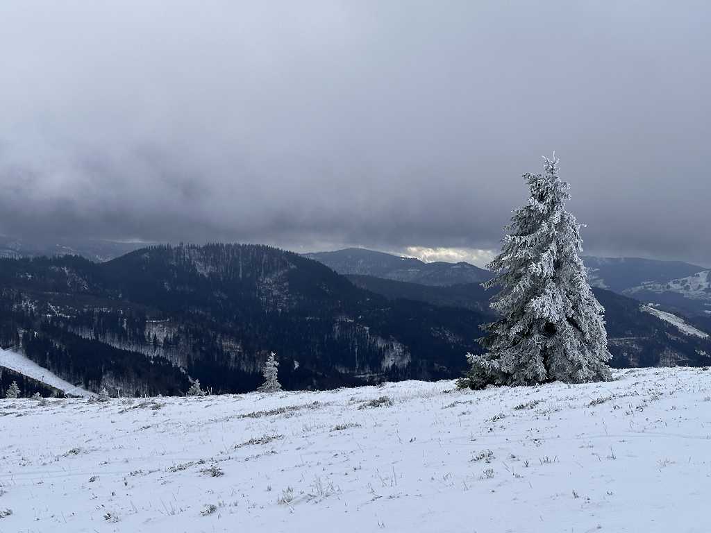 Feldbergipfel im Schwarzwald