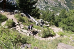 Abstieg vom Gornergrat nach Furi