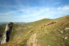 Wanderung vom Stockhorn über den Strüssligrat zur Oberstockenalp