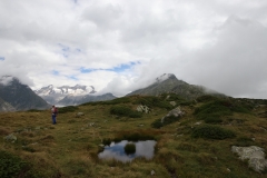 Panoramaweg oberhalb des Aletschgletschers