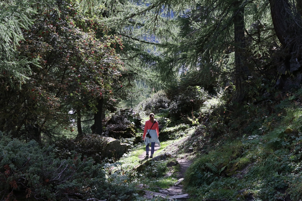 Aufstieg zur Petit Mountet