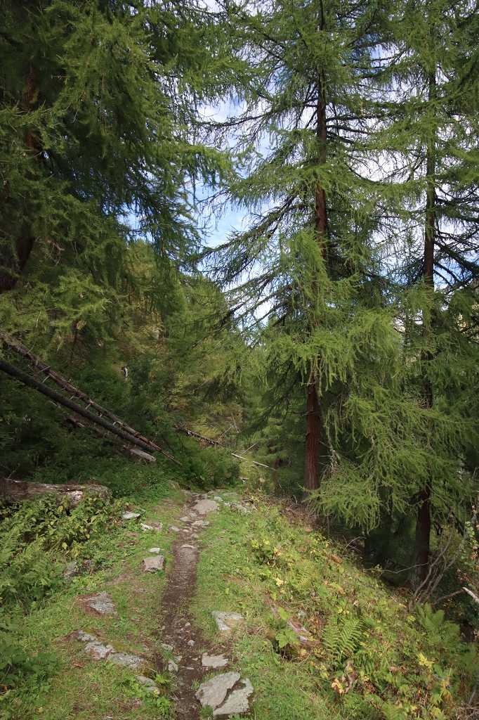 Aufstieg zur Petit Mountet