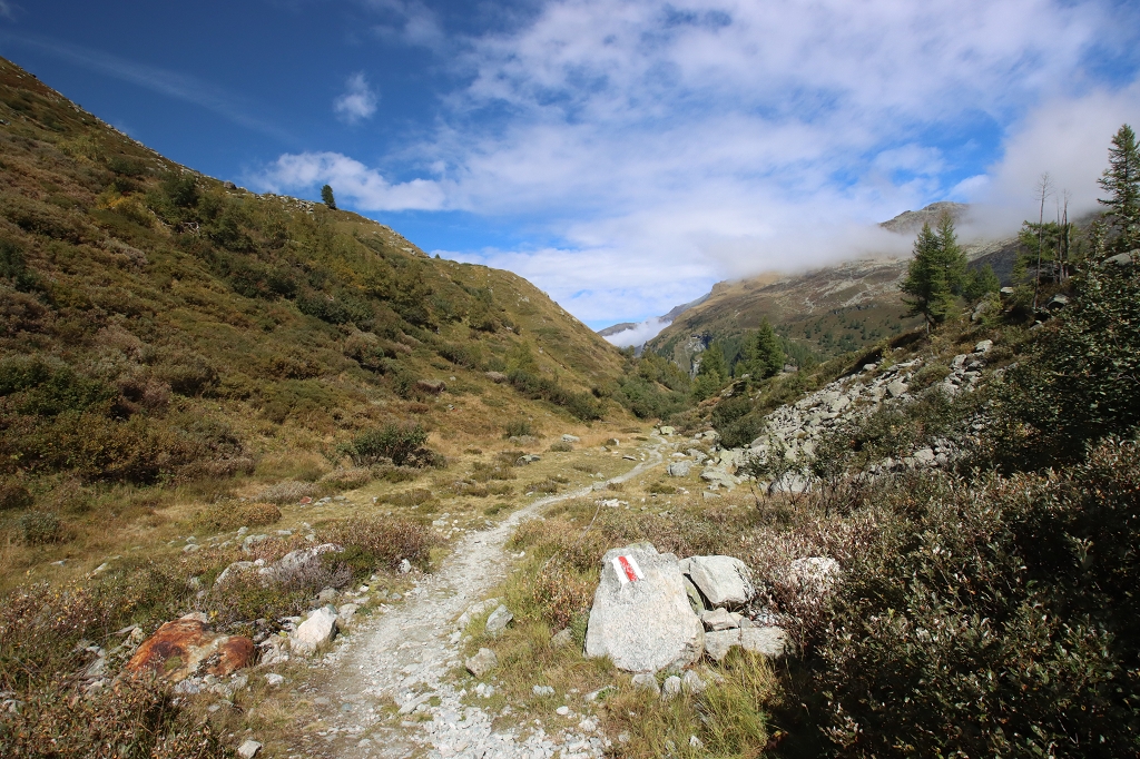 Die letzten Meter zur Petit Mountet