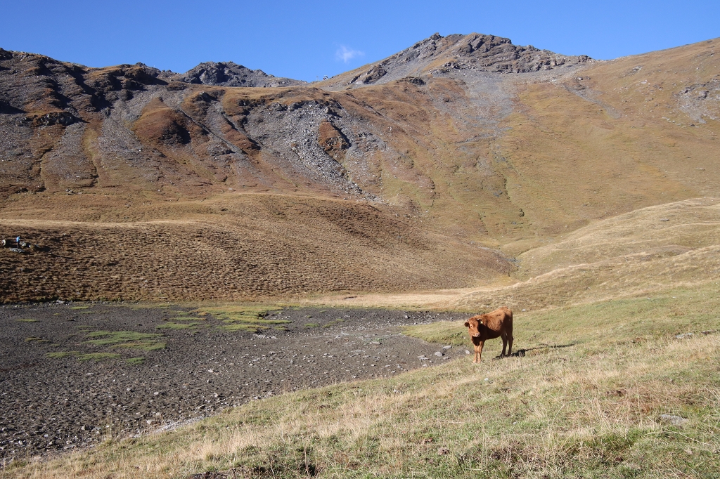 Wanderung zum Corne de Sorebois (2.895 m.ü.M)